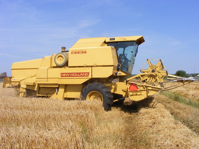 foto